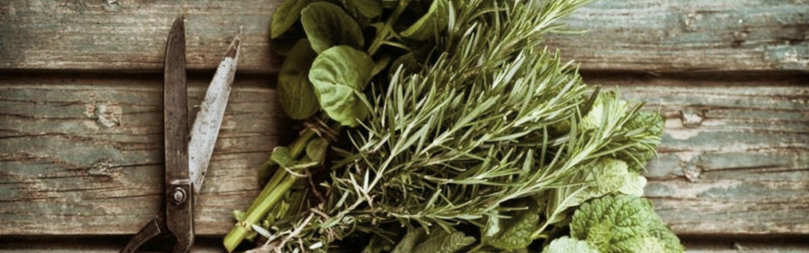 Teas for High Blood Pressure