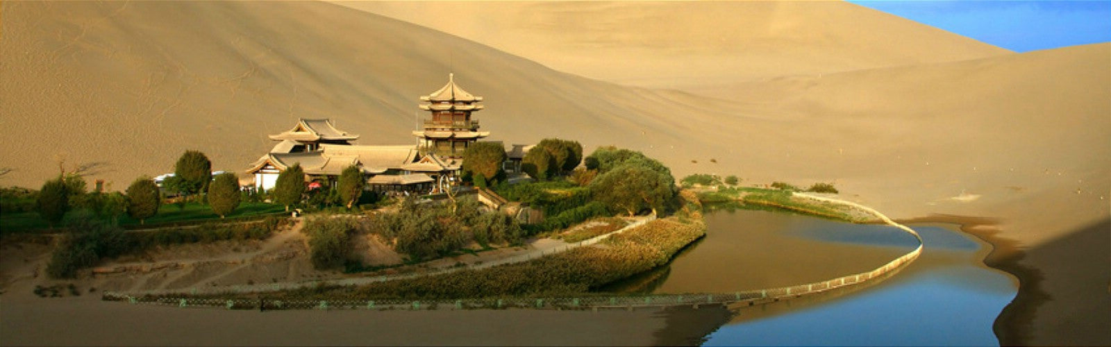 Gu-Lan Tea - Research and Studies