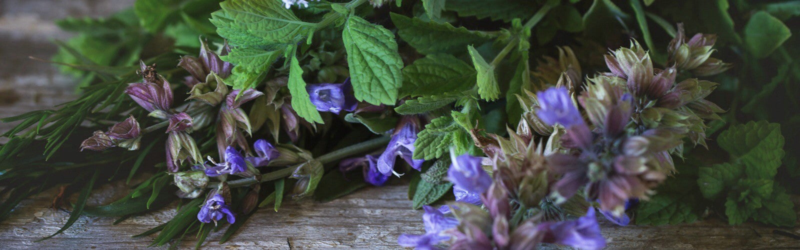 Teas for Quality Sleep