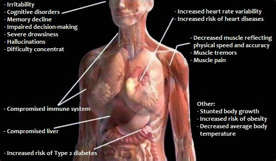 How does detoxification work?